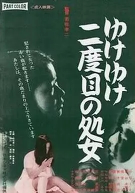 日本老熟妇乱子片海报